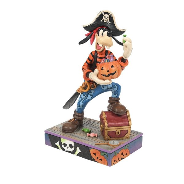 Goofy Pirate - 6014356
